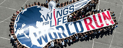 Wings for LIFE. Race without a finish line