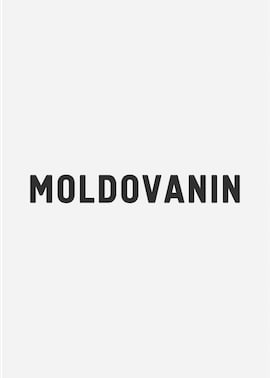 Moldovanin